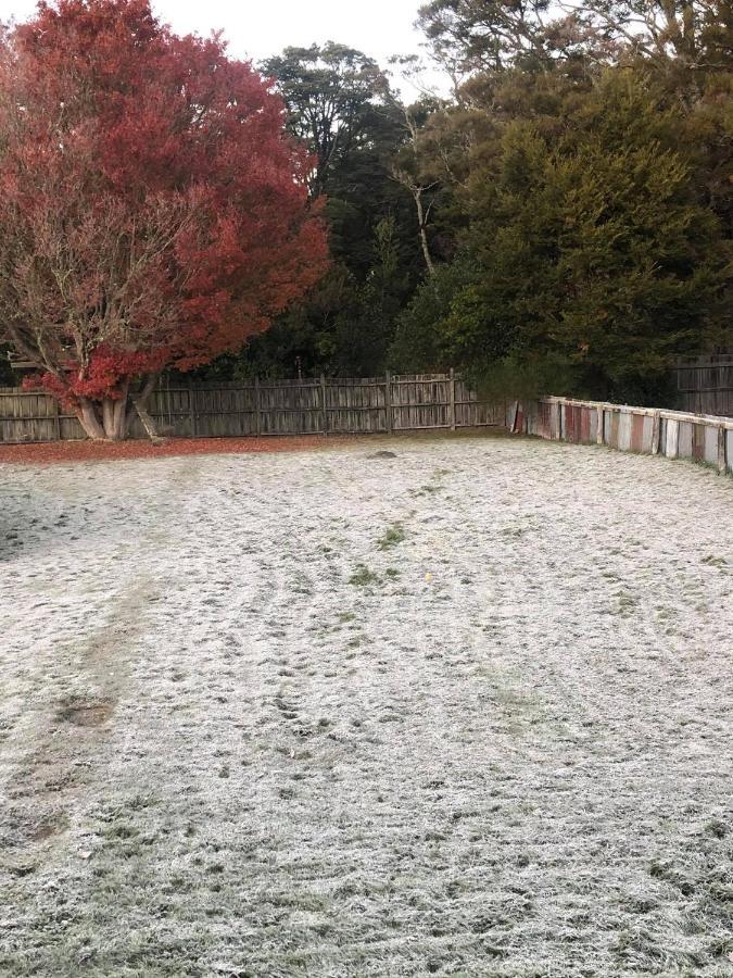Moore St Cottage Ohakune Exterior foto